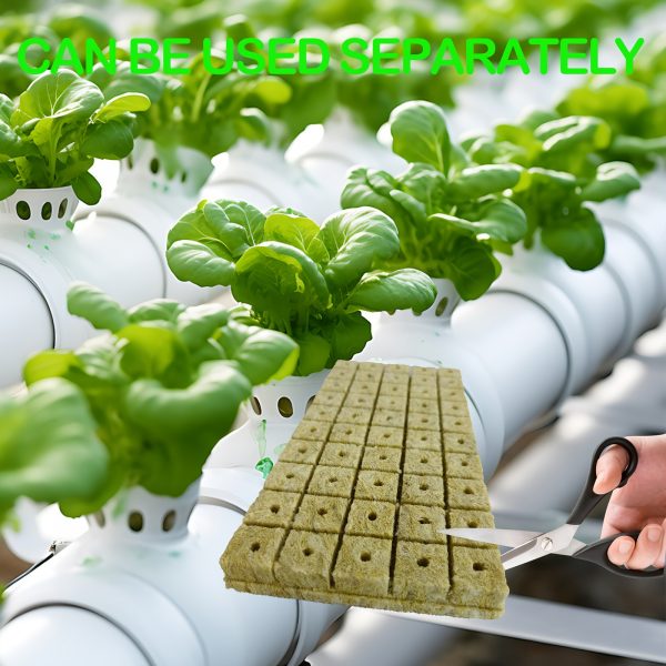 Technologie de pointe: équipement de germination Bio pour une plantation en cube efficace pour 200 germinations – Image 5