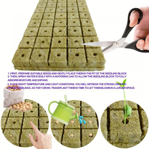 Technologie de pointe: équipement de germination Bio pour une plantation en cube efficace pour 200 germinations – Image 2