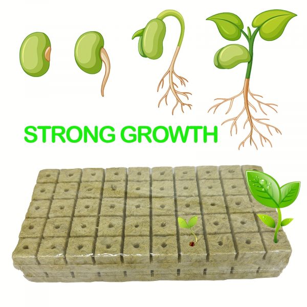 Technologie de pointe: équipement de germination Bio pour une plantation en cube efficace pour 200 germinations – Image 3