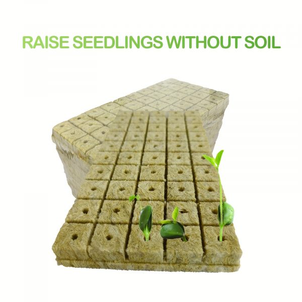 Technologie de pointe: équipement de germination Bio pour une plantation en cube efficace pour 200 germinations – Image 4