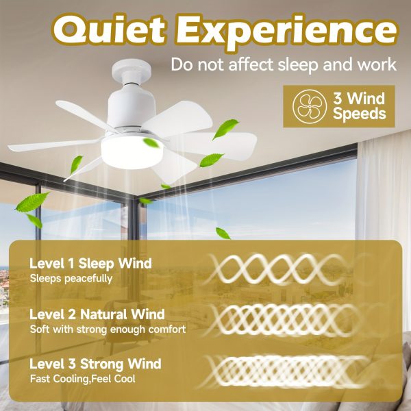 Ce Ventilateur Silencieux Transforme Votre Salon en Oasis de Fraîcheur – Image 4