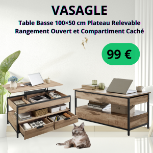 VASAGLE Table Basse 100×50 cm Plateau Relevable — Rangement Ouvert et Compartiment Caché